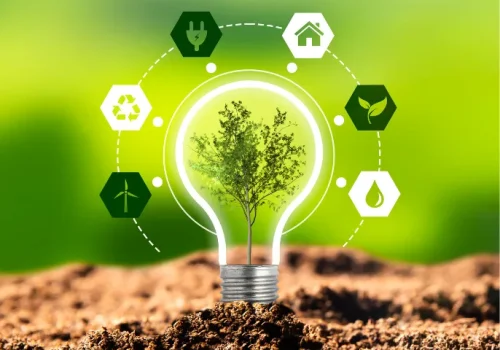 Energy Consulting & Advisory